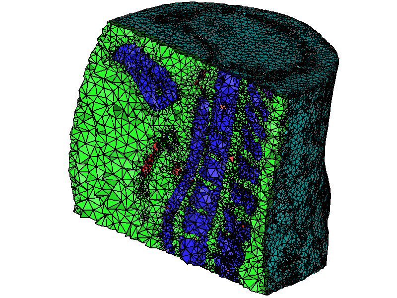 WIAS_TetGen_Torso_Gitter